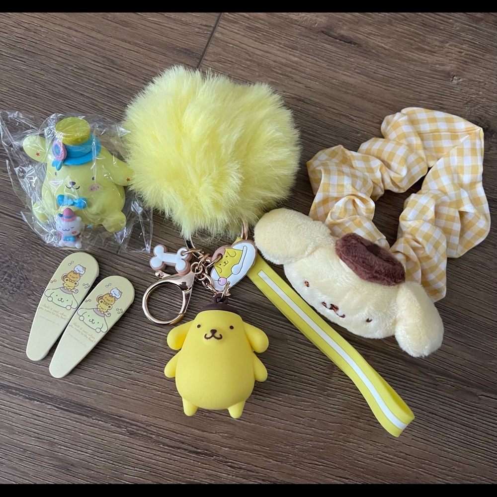 SANRIO-NWOT Pompompurin Fun Bundle